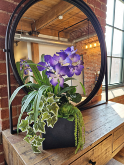 Композиция Сюрприз в кашпо