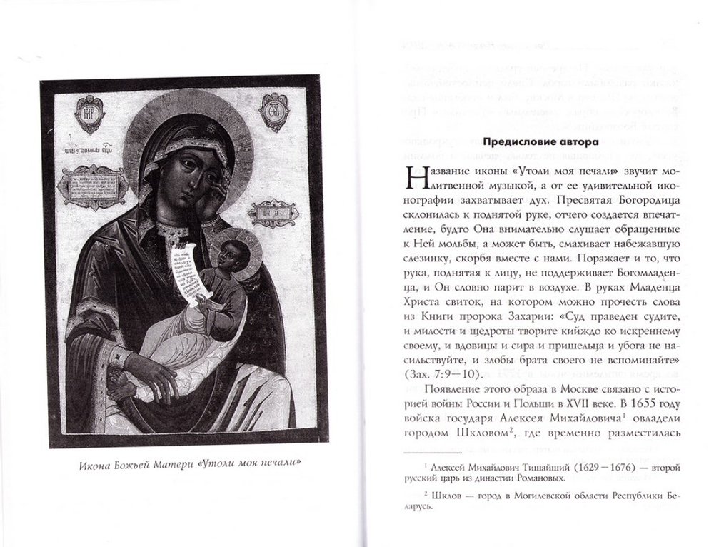 Заступница усердная. Исторические повести. Протоиерей Николай Агафонов