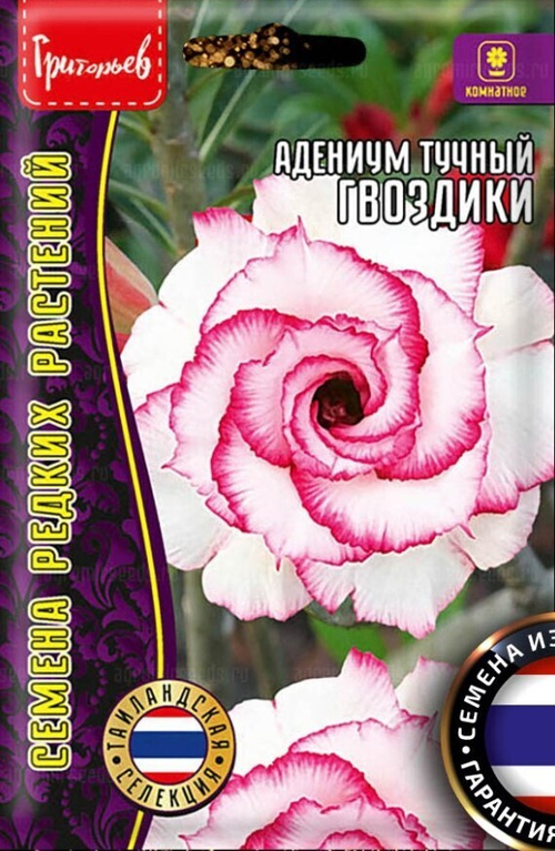 Адениум тучный Гвоздики