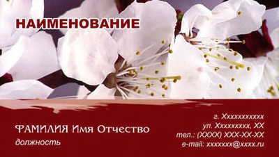 001-00095