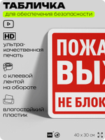Табличка для обеспечения безопасности "Пожарный выход, не блокировать", для офиса, по охране труда для предприятия, организаций, 40х30 см, Silver Plane x Айдентика Технолоджи