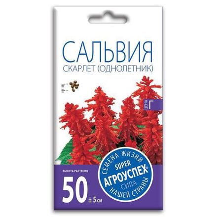 Сальвия Скарлет, семена Агроуспех 0,1г (350)