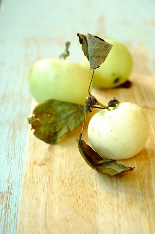 Делаем домашние дрожжи!