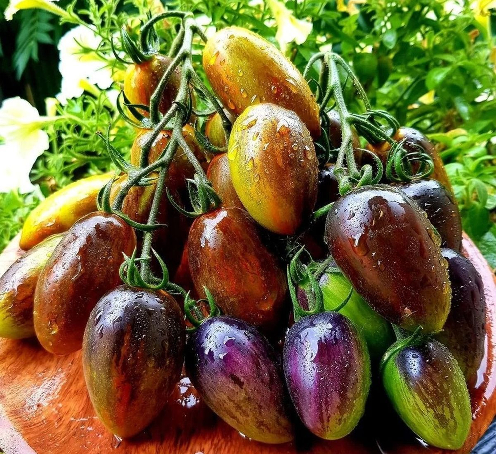 Атомный виноград Брэда Brad’s Atomic Grape