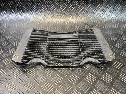 Защита радиатора Yamaha FZ1 Fazer RN17