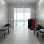 Осушитель воздуха Ballu BDI-100L профессиональный - [до 100 л. за сутки / для S≈150 м²]