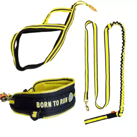 Комплект пояс для бега с собакой, ездовая шлейка и потяг White Wolf серия Спорт