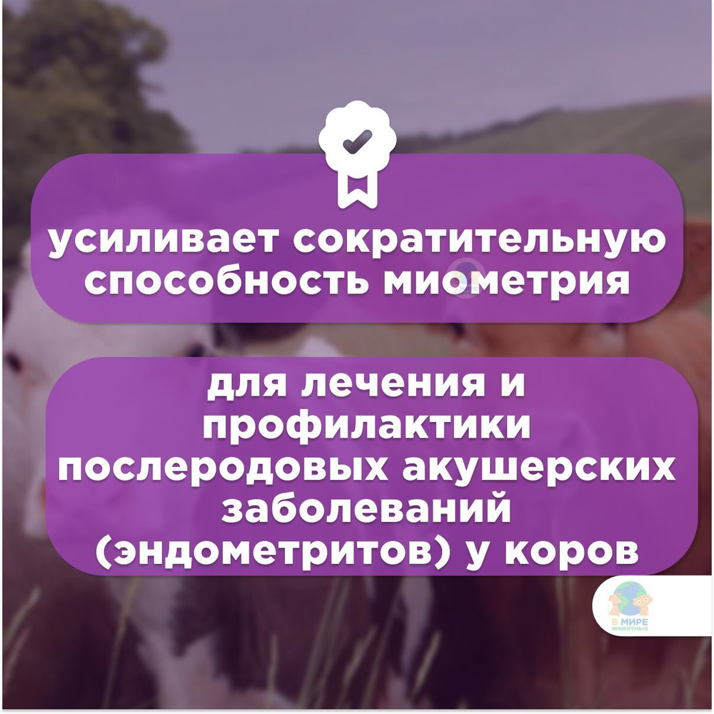 МОСАГРОГЕН Эндометрамаг-Т, раствор для внутриматочного введения, для КРС, 1 л. Гентамицин.