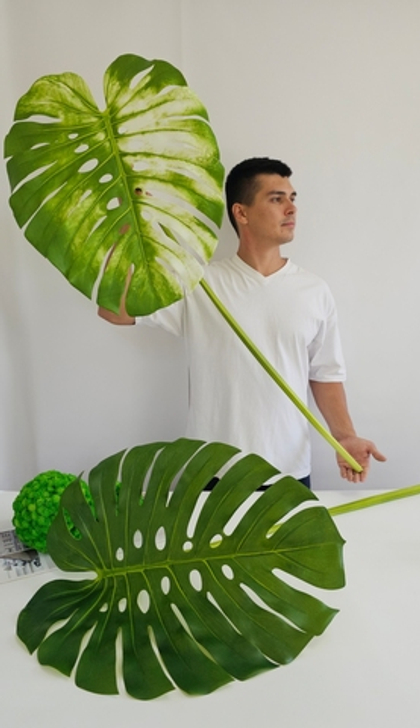 Лист монстеры / Арт 9083