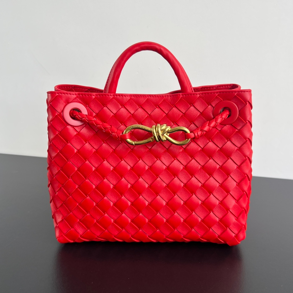 Bottega Veneta Small Andiamo 25 cm