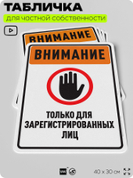 Табличка для частной территории "Внимание, для зарегистрированных лиц", на дом, для участка, организаций и частных территорий, предупреждающая, 40х30 см, Silver Plane x Айдентика Технолоджи