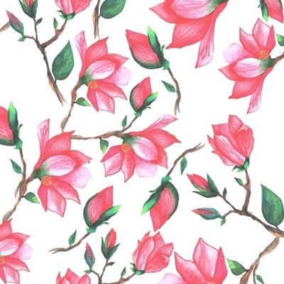 Веточки красной магнолии на белом фоне