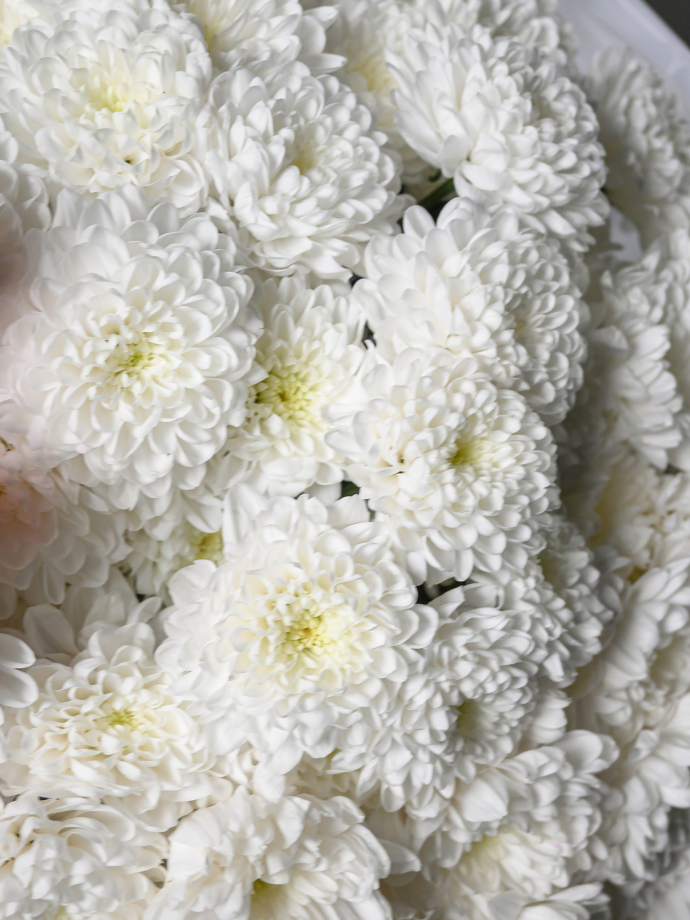 Облако любви 25 *