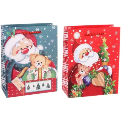 Пакет подарочный «Дедушка Мороз» 18*23*8 см, микс
