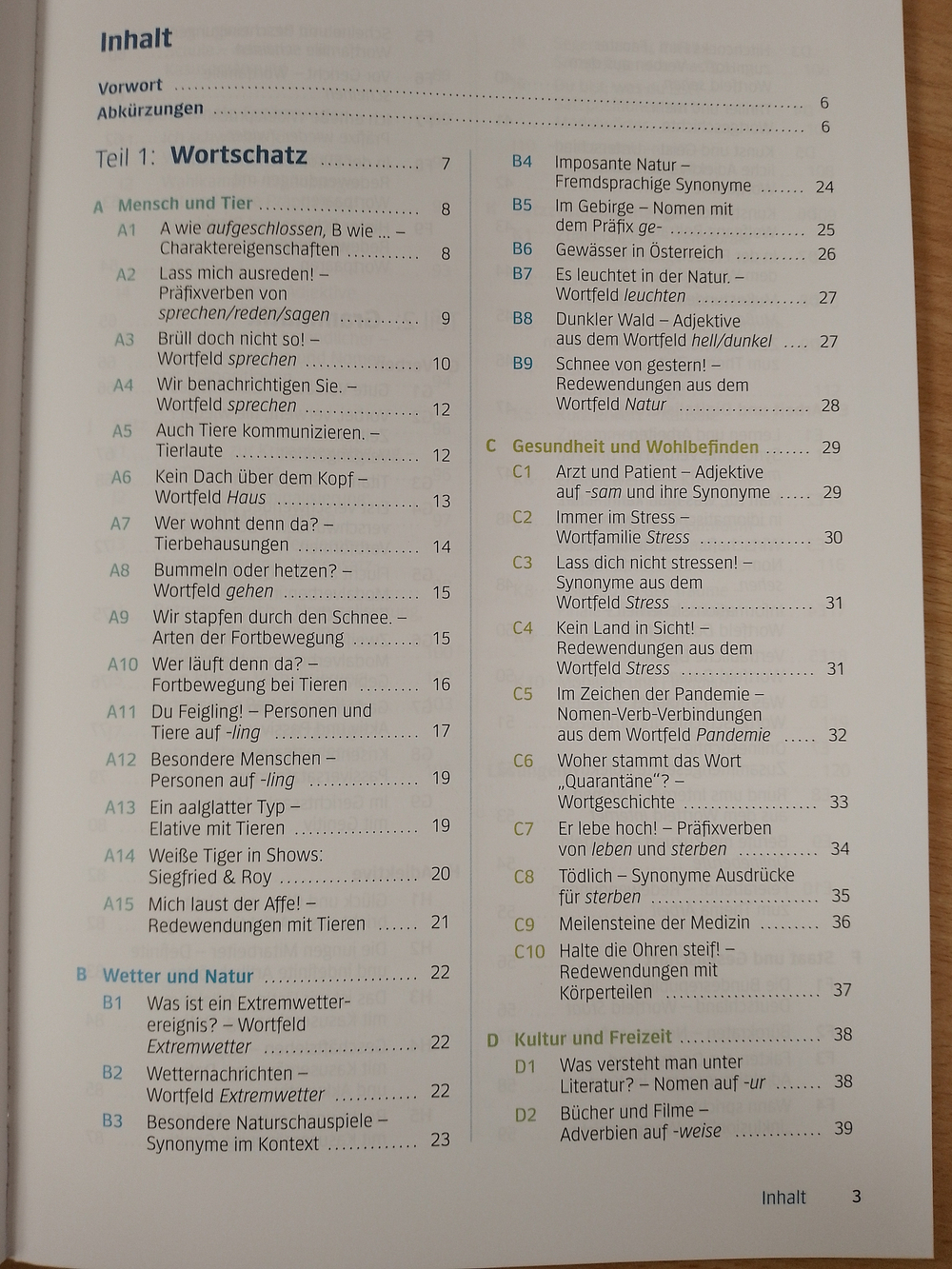 Wortschatz & Grammatik C2 Buch