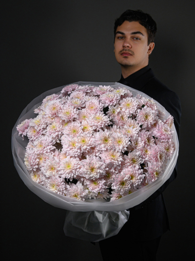 Моно букет из 25 цветных хризантем