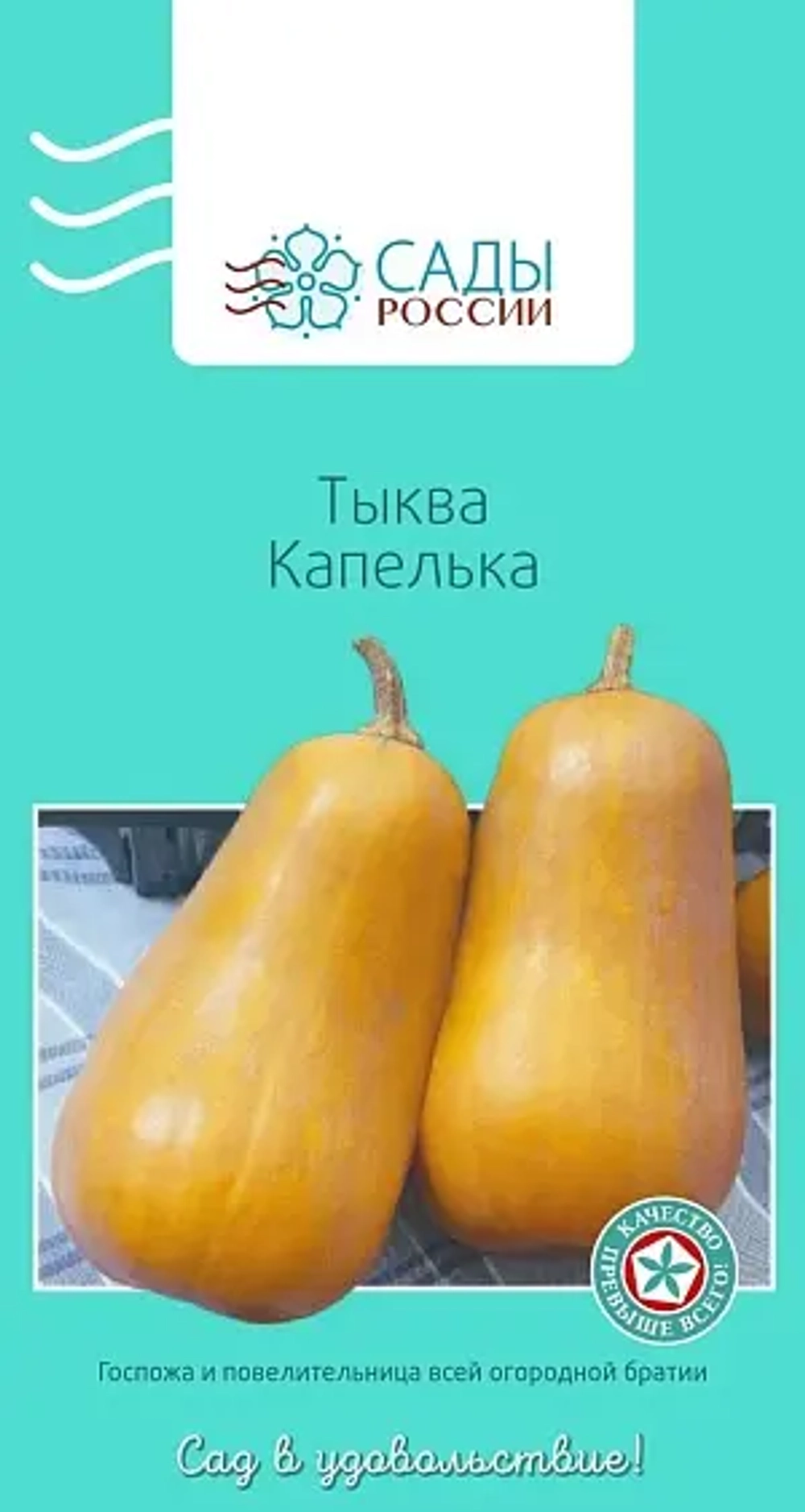 Тыква семена