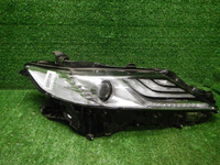 DSCN4680.JPG