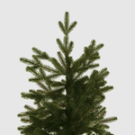 Ель искусственная EveXmas линда 240 см