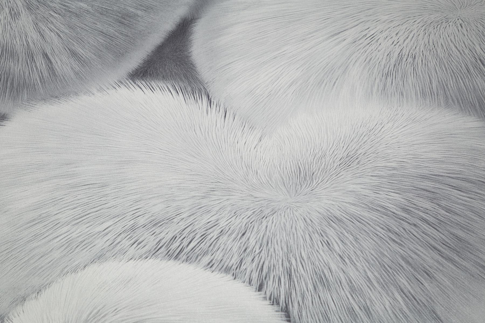 Palitra 72585-14 UFF