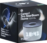 Умная колонка SBER Boom Home SBDV-00171G, 8Вт, с Салют, серый