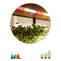 Светодиодная лента для растений ЭРА FITO-Strip Light-Rа90-3m полного спектра 3м IP65 с адаптером 12V | Светодиодные ленты для растений