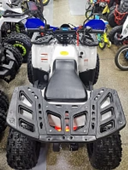 Квадроцикл PROMAX WILD 175 LUX