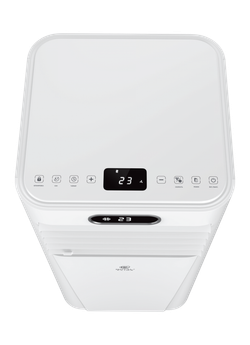 ROYAL CLIMA TESORO RM-TS22CH-E