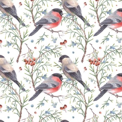 снегири на белом фоне