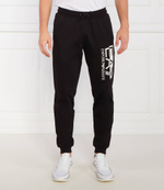 Спортивные штаны EA7 - черный(6RPP73 PJ05Z)