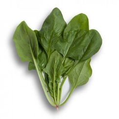 Боа F1 семена шпината (Rijk Zwaan / Райк Цваан)