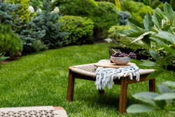 Кофейный комплект CALISTO