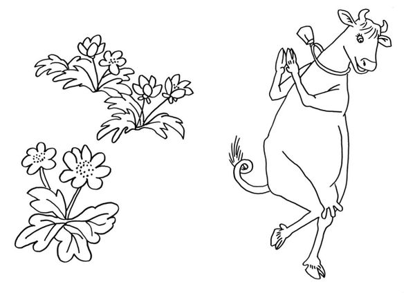 Мама Му и Кракс. Первая раскраска