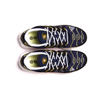 Nike Air Max Terrascape TN Plus "Michigan"