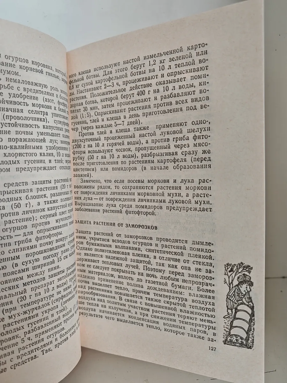 Приусадебное хозяйство