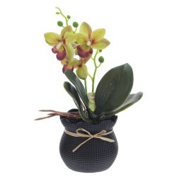 GAEM Цветочная композиция "Орхидея", L11 W11 H26 см