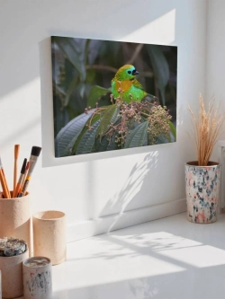 Картина на стену 40 X 50 Цветная птица