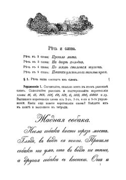 Наглядная практическая грамматика для городских и сельских начальных училищ | Шапошников Иван Никитич