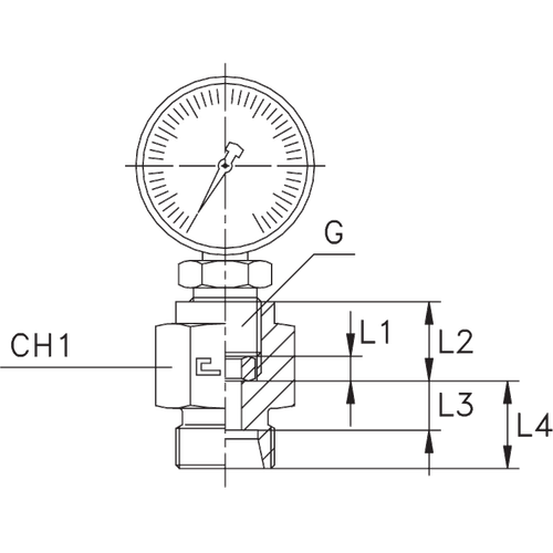 Штуцер DS10 BSP 1/2