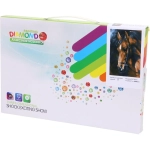 Алмазная мозаика на подрамнике с полным заполнением «МИР ЯРКИХ КРАСОК», Гнедая, 20*30 см