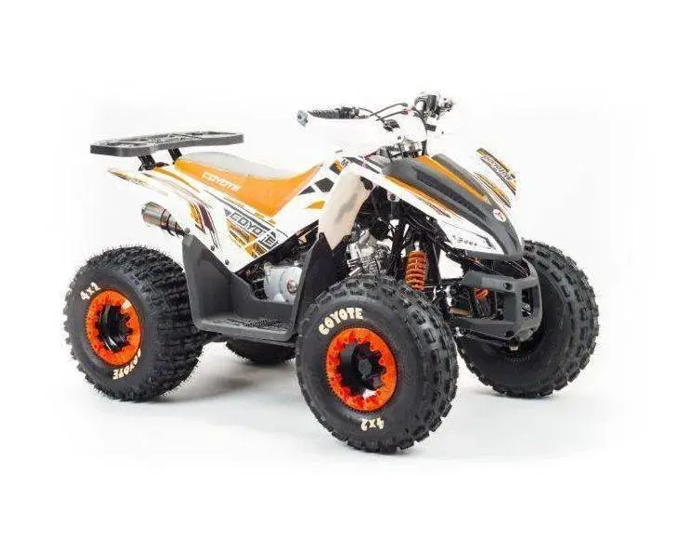 Квадроцикл Motoland 125 COYOTE