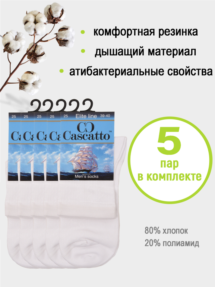Носки мужские (5 пар в упаковке)