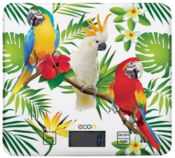 Весы кухонные электронные ECO-BS112K