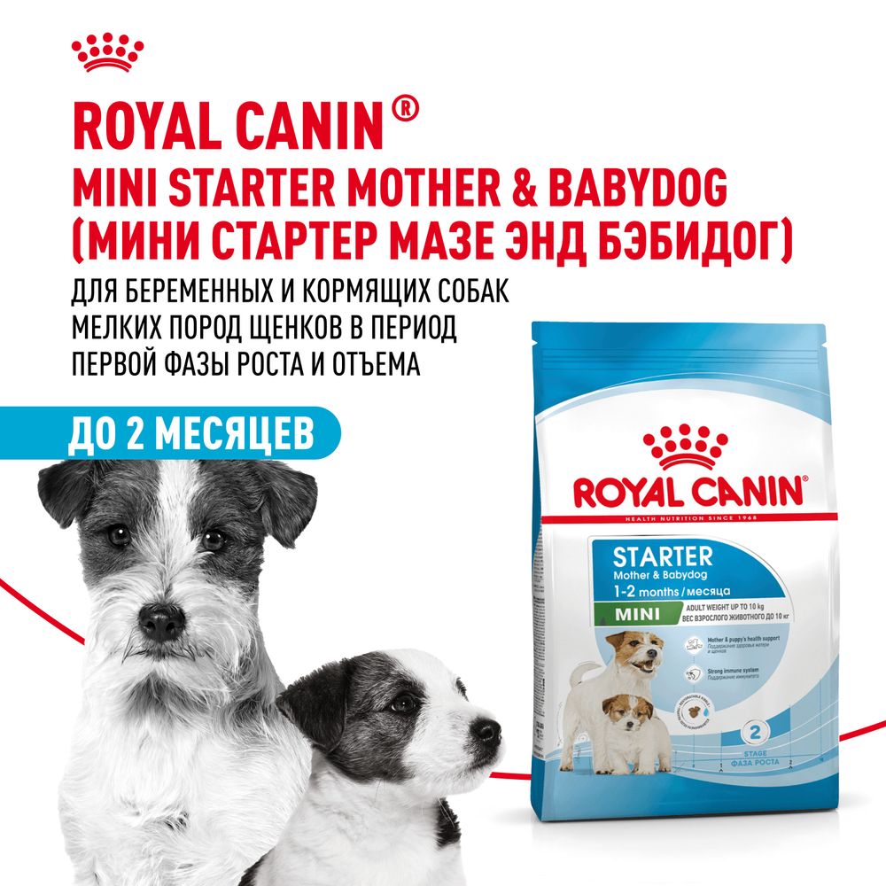 Сухой корм Royal Canin Mini Starter для щенков мелких размеров до 2-х месяцев, беременных и кормящих сук Сухой корм Royal Canin Mini Starter для щенков мелких размеров до 2-х месяцев, беременных и кормящих сук