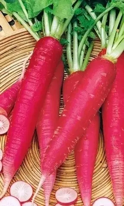 Семена Редис Красный Великан 1 гр (УД) Е/П