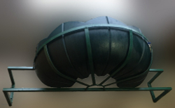 Цветочница Черепаха