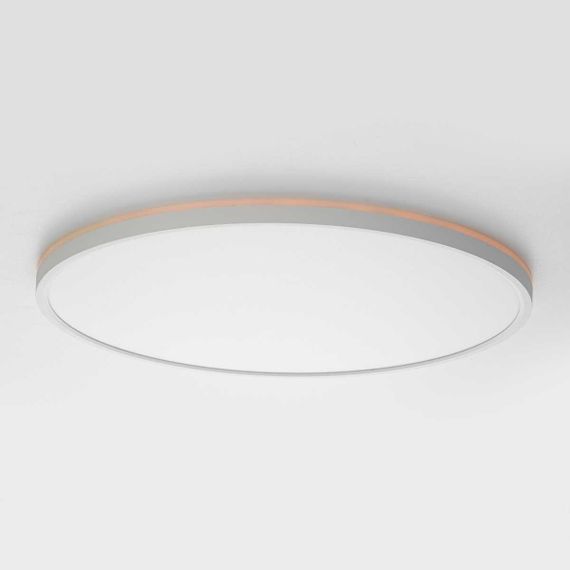 Потолочный светильник Citilux NORMA CL749500