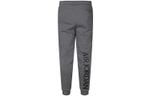 Штаны Jordan As m j clscs flc pant, BV6009-091