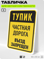 Табличка для частной территории "Тупик, частная дорога", на дом, для участка, организаций, предупреждающая, 40х30 см, Silver Plane x Айдентика Технолоджи