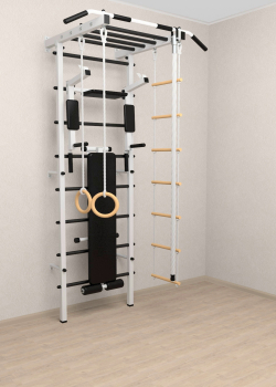 Шведская стенка Sv Pro рукоход 855 (Турник Pro рукоход/Брусья/стойка/Скамья/Канат/Кольца/Лестница)